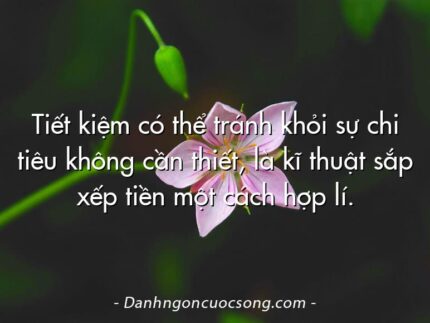 Tiết kiệm có thể tránh khỏi sự chi tiêu không cần thiết, là kĩ thuật sắp xếp tiền một cách hợp lí.