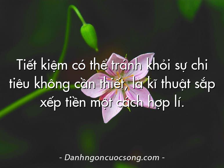 Tiết kiệm có thể tránh khỏi sự chi tiêu không cần thiết, là kĩ thuật sắp xếp tiền một cách hợp lí.