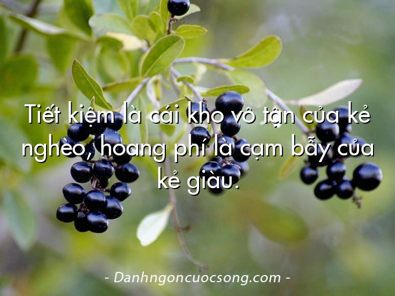 Tiết kiệm là cái kho vô tận của kẻ nghèo, hoang phí là cạm bẫy của kẻ giàu.