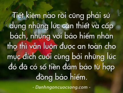 Tiết kiệm nào rồi cũng phải sử dụng những lúc cần thiết và cấp bách, nhưng với bảo hiểm nhân thọ thì vẫn luôn được an toàn cho mục đích cuối cùng bởi những lúc đó đã có số tiền đảm bảo từ hợp đồng bảo hiểm.