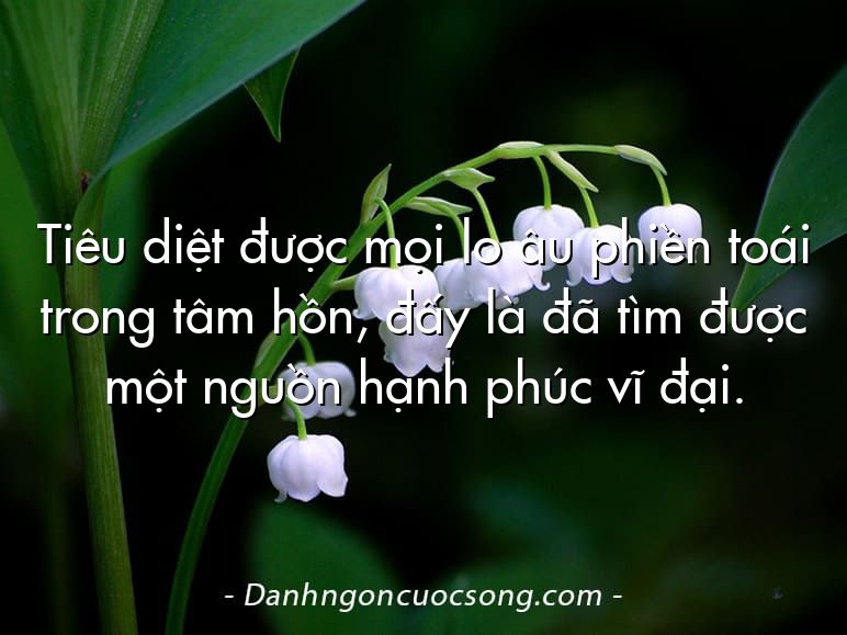 Tiêu diệt được mọi lo âu phiền toái trong tâm hồn, đấy là đã tìm được một nguồn hạnh phúc vĩ đại.