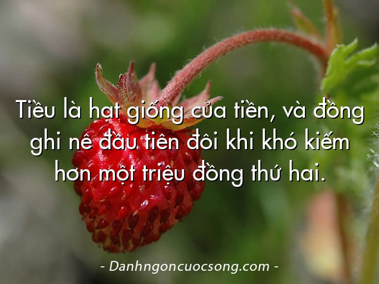 Tiều là hạt giống của tiền, và đồng ghi nê đầu tiên đôi khi khó kiếm hơn một triệu đồng thứ hai.