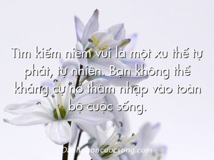 Tìm kiếm niềm vui là một xu thế tự phát, tự nhiên. Bạn không thể kháng cự nó thâm nhập vào toàn bộ cuộc sống.