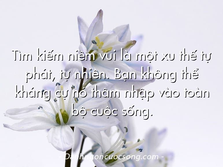 Tìm kiếm niềm vui là một xu thế tự phát, tự nhiên. Bạn không thể kháng cự nó thâm nhập vào toàn bộ cuộc sống.