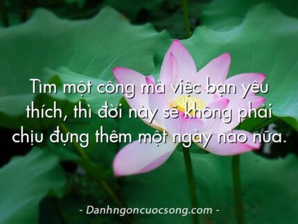 Tìm một công mà việc bạn yêu thích, thì đời này sẽ không phải chịu đựng thêm một ngày nào nữa.