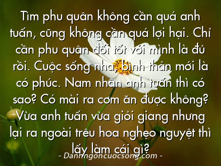 Tìm phu quân không cần quá anh tuấn, cũng không cần quá lợi hại. Chỉ cần phu quân đối tốt với mình là đủ rồi. Cuộc sống nha, bình thản mới là có phúc. Nam nhân anh tuấn thì có sao? Có mài ra cơm ăn được không? Vừa anh tuấn vừa giỏi giang nhưng lại ra ngoài trêu hoa nghẹo nguyệt thì lấy làm cái gì?