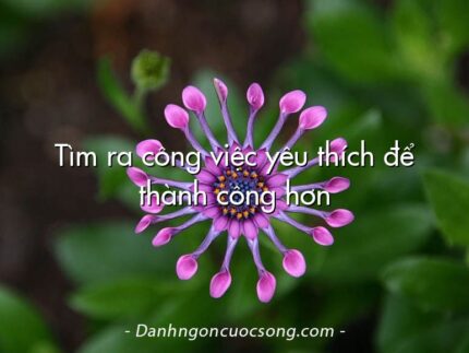 Tìm ra công việc yêu thích để thành công hơn