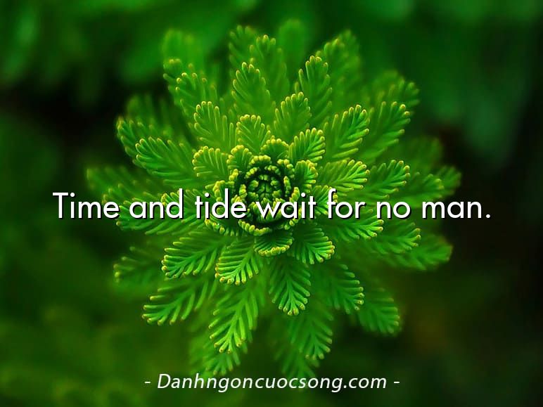 Time and tide wait for no man.