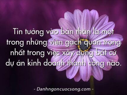 Tin tưởng vào bản thân là một trong những viên gạch quan trọng nhất trong việc xây dựng bất cứ dự án kinh doanh thành công nào.