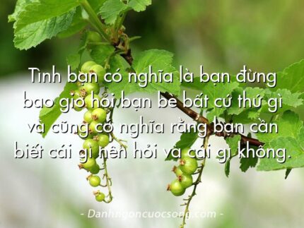 Tình bạn có nghĩa là bạn đừng bao giờ hỏi bạn bè bất cứ thứ gì và cũng có nghĩa rằng bạn cần biết cái gì nên hỏi và cái gì không.