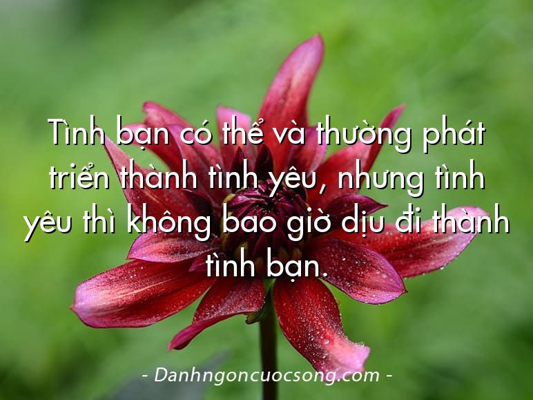 Tình bạn có thể và thường phát triển thành tình yêu, nhưng tình yêu thì không bao giờ dịu đi thành tình bạn.