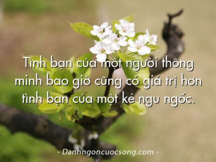 Tình bạn của một người thông minh bao giờ cũng có giá trị hơn tình bạn của một kẻ ngu ngốc.