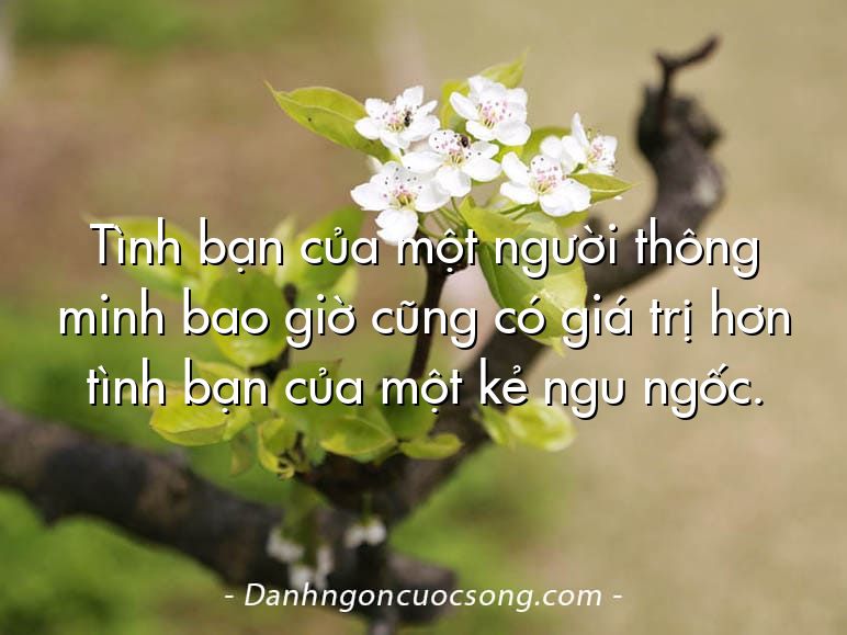 Tình bạn của một người thông minh bao giờ cũng có giá trị hơn tình bạn của một kẻ ngu ngốc.
