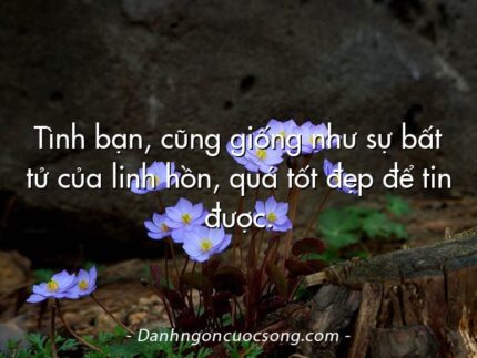 Tình bạn, cũng giống như sự bất tử của linh hồn, quá tốt đẹp để tin được.