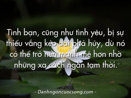 Tình bạn, cũng như tình yêu, bị sự thiếu vắng kéo dài phá hủy, dù nó có thể trở nên mạnh mẽ hơn nhờ những xa cách ngắn tạm thời.