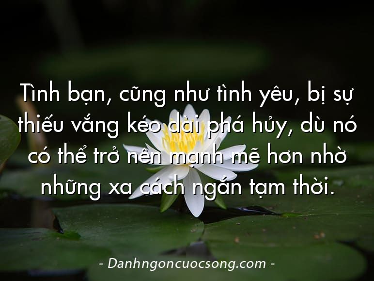 Tình bạn, cũng như tình yêu, bị sự thiếu vắng kéo dài phá hủy, dù nó có thể trở nên mạnh mẽ hơn nhờ những xa cách ngắn tạm thời.