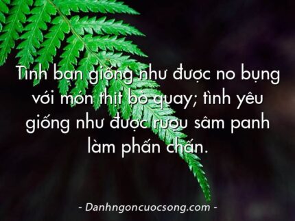 Tình bạn giống như được no bụng với món thịt bò quay; tình yêu giống như được rượu sâm panh làm phấn chấn.
