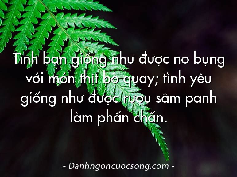 Tình bạn giống như được no bụng với món thịt bò quay; tình yêu giống như được rượu sâm panh làm phấn chấn.