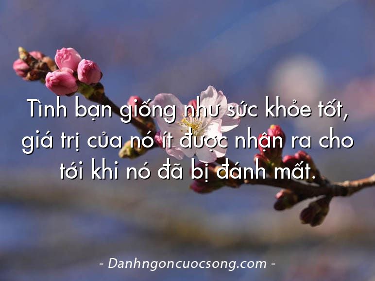 Tình bạn giống như sức khỏe tốt, giá trị của nó ít được nhận ra cho tới khi nó đã bị đánh mất.