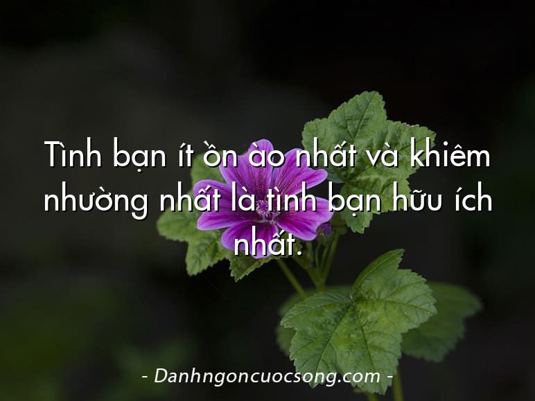 Tình bạn ít ồn ào nhất và khiêm nhường nhất là tình bạn hữu ích nhất.
