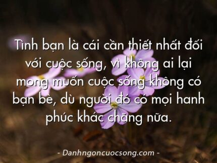 Tình bạn là cái cần thiết nhất đối với cuộc sống, vì không ai lại mong muốn cuộc sống không có bạn bè, dù người đó có mọi hanh phúc khác chăng nữa.