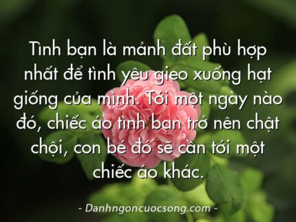 Tình bạn là mảnh đất phù hợp nhất để tình yêu gieo xuống hạt giống của mình. Tới một ngày nào đó, chiếc áo tình bạn trở nên chật chội, con bé đó sẽ cần tới một chiếc áo khác.