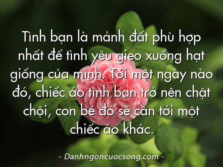 Tình bạn là mảnh đất phù hợp nhất để tình yêu gieo xuống hạt giống của mình. Tới một ngày nào đó, chiếc áo tình bạn trở nên chật chội, con bé đó sẽ cần tới một chiếc áo khác.