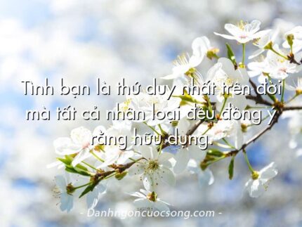 Tình bạn là thứ duy nhất trên đời mà tất cả nhân loại đều đồng ý rằng hữu dụng.