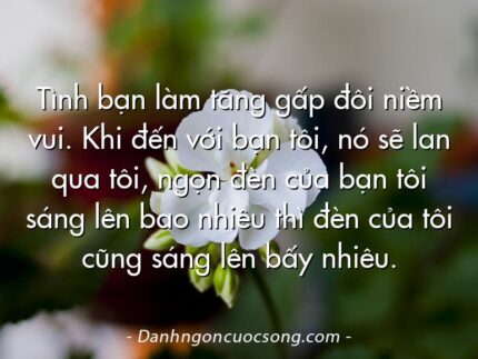 Tình bạn làm tăng gấp đôi niềm vui. Khi đến với bạn tôi, nó sẽ lan qua tôi, ngọn đèn của bạn tôi sáng lên bao nhiêu thì đèn của tôi cũng sáng lên bấy nhiêu.