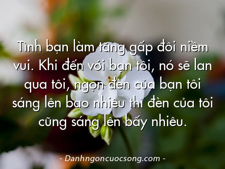 Tình bạn làm tăng gấp đôi niềm vui. Khi đến với bạn tôi, nó sẽ lan qua tôi, ngọn đèn của bạn tôi sáng lên bao nhiêu thì đèn của tôi cũng sáng lên bấy nhiêu.