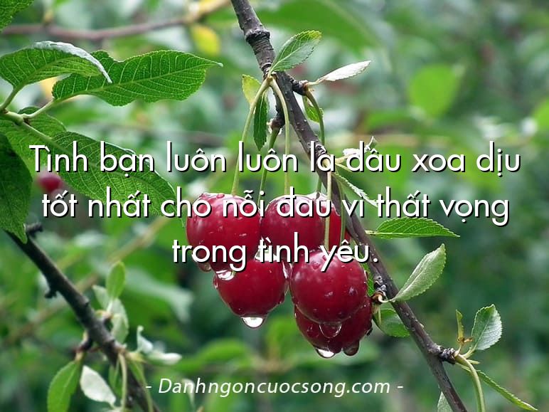 Tình bạn luôn luôn là dầu xoa dịu tốt nhất cho nỗi đau vì thất vọng trong tình yêu.