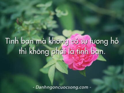 Tình bạn mà không có sự tương hỗ thì không phải là tình bạn.