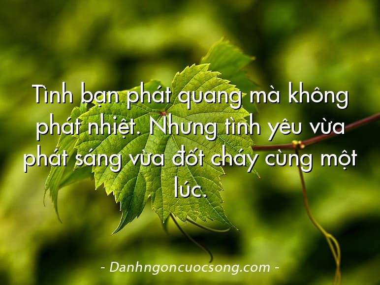 Tình bạn phát quang mà không phát nhiệt. Nhưng tình yêu vừa phát sáng vừa đốt cháy cùng một lúc.