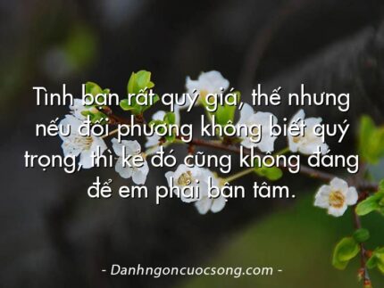 Tình bạn rất quý giá, thế nhưng nếu đối phương không biết quý trọng, thì kẻ đó cũng không đáng để em phải bận tâm.
