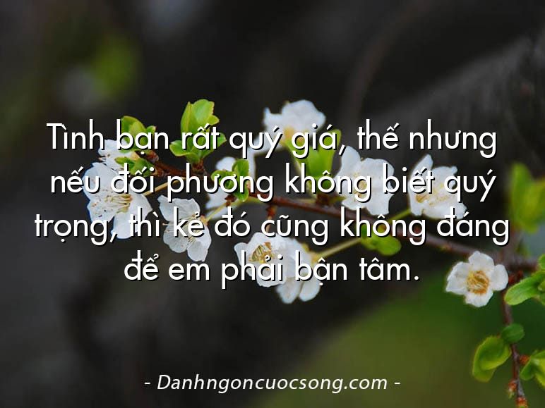 Tình bạn rất quý giá, thế nhưng nếu đối phương không biết quý trọng, thì kẻ đó cũng không đáng để em phải bận tâm.