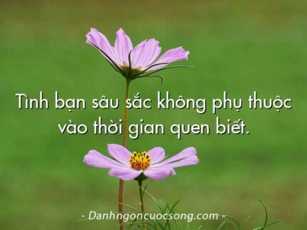 Tình bạn sâu sắc không phụ thuộc vào thời gian quen biết.