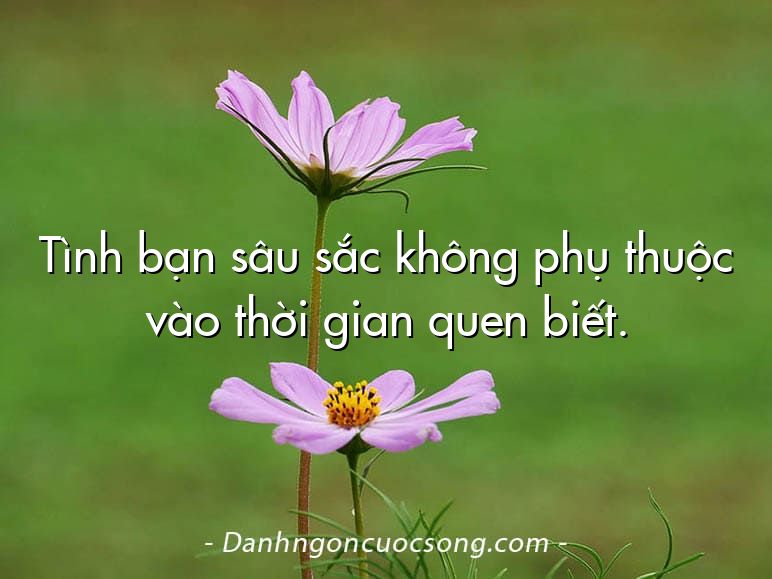 Tình bạn sâu sắc không phụ thuộc vào thời gian quen biết.