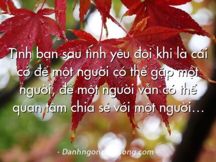 Tình bạn sau tình yêu đôi khi là cái cớ để một người có thể gặp một người, để một người vẫn có thể quan tâm chia sẻ với một người…