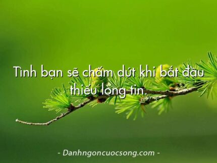 Tình bạn sẽ chấm dứt khi bắt đầu thiếu lòng tin.