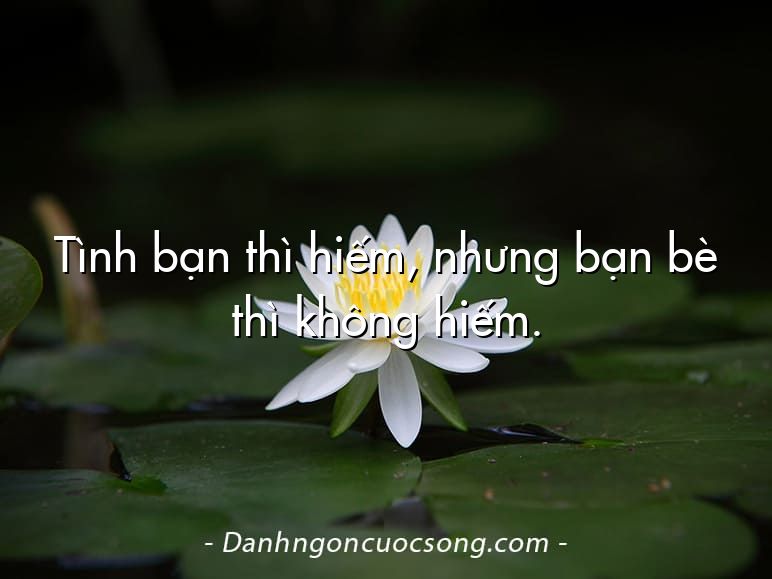 Tình bạn thì hiếm, nhưng bạn bè thì không hiếm.