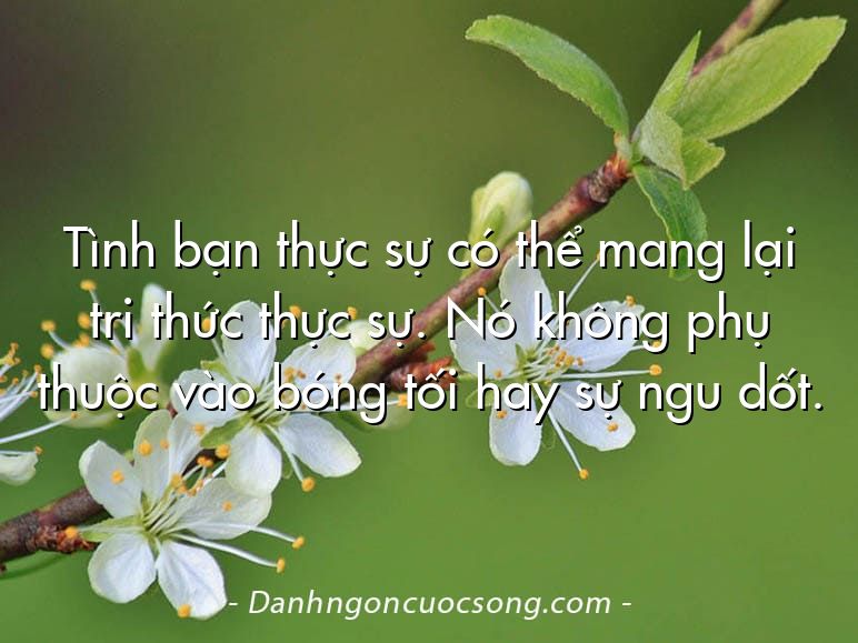 Tình bạn thực sự có thể mang lại tri thức thực sự. Nó không phụ thuộc vào bóng tối hay sự ngu dốt.