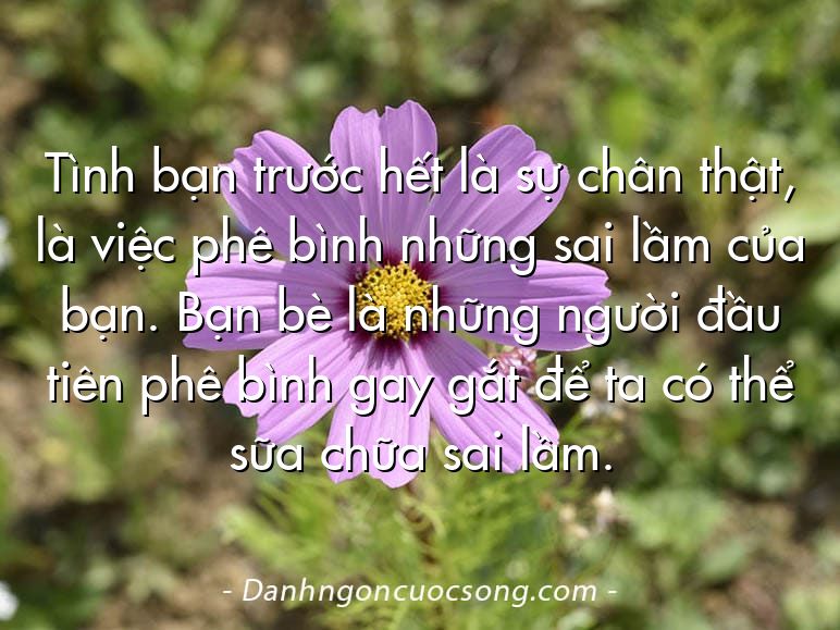 Tình bạn trước hết là sự chân thật, là việc phê bình những sai lầm của bạn. Bạn bè là những người đầu tiên phê bình gay gắt để ta có thể sữa chữa sai lầm.