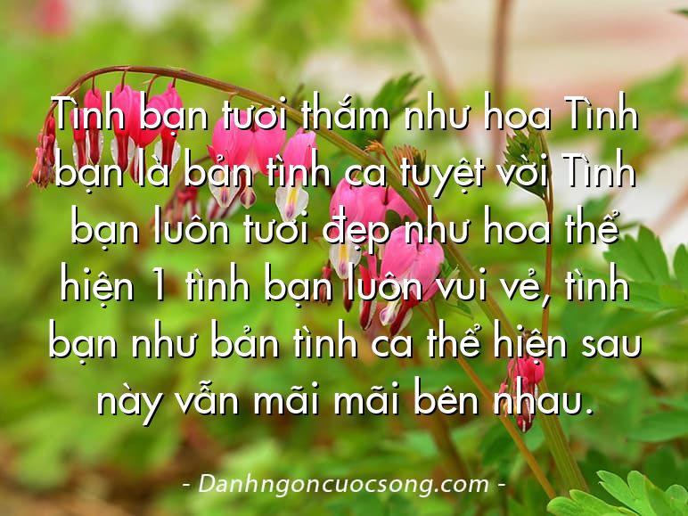 Tình bạn tươi thắm như hoa Tình bạn là bản tình ca tuyệt vời Tình bạn luôn tươi đẹp như hoa thể hiện 1 tình bạn luôn vui vẻ, tình bạn như bản tình ca thể hiện sau này vẫn mãi mãi bên nhau.