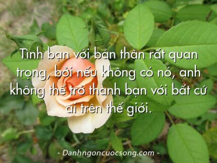 Tình bạn với bản thân rất quan trọng, bởi nếu không có nó, anh không thể trở thành bạn với bất cứ ai trên thế giới.