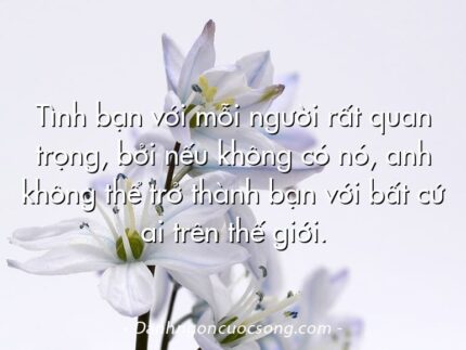 Tình bạn với mỗi người rất quan trọng, bởi nếu không có nó, anh không thể trở thành bạn với bất cứ ai trên thế giới.