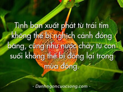 Tình bạn xuất phát từ trái tim không thể bị nghịch cảnh đóng băng, cũng như nước chảy từ con suối không thể bị đông lại trong mùa đông.