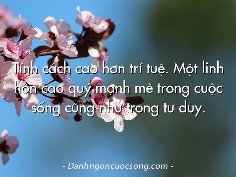 Tính cách cao hơn trí tuệ. Một linh hồn cao quý mạnh mẽ trong cuộc sống cũng như trong tư duy.