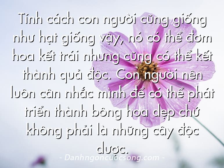 Tính cách con người cũng giống như hạt giống vậy, nó có thể đơm hoa kết trái nhưng cũng có thể kết thành quả độc. Con người nên luôn cân nhắc mình để có thể phát triển thành bông hoa dẹp chứ không phải là những cây độc dược.