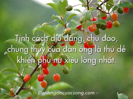 Tính cách dịu đàng, chu đáo, chung thủy của đàn ông là thứ dễ khiến phụ nữ xiêu lòng nhất.