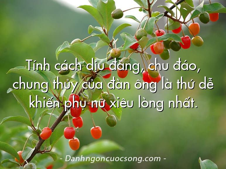 Tính cách dịu đàng, chu đáo, chung thủy của đàn ông là thứ dễ khiến phụ nữ xiêu lòng nhất.
